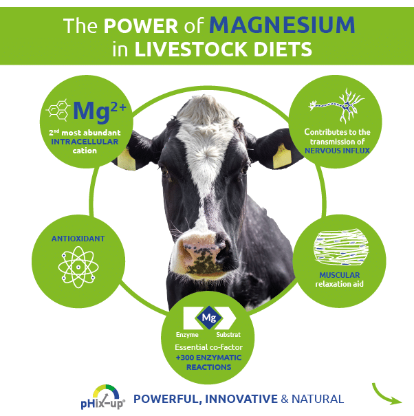 Phix-Up, the power of magnesium in livestock diets
